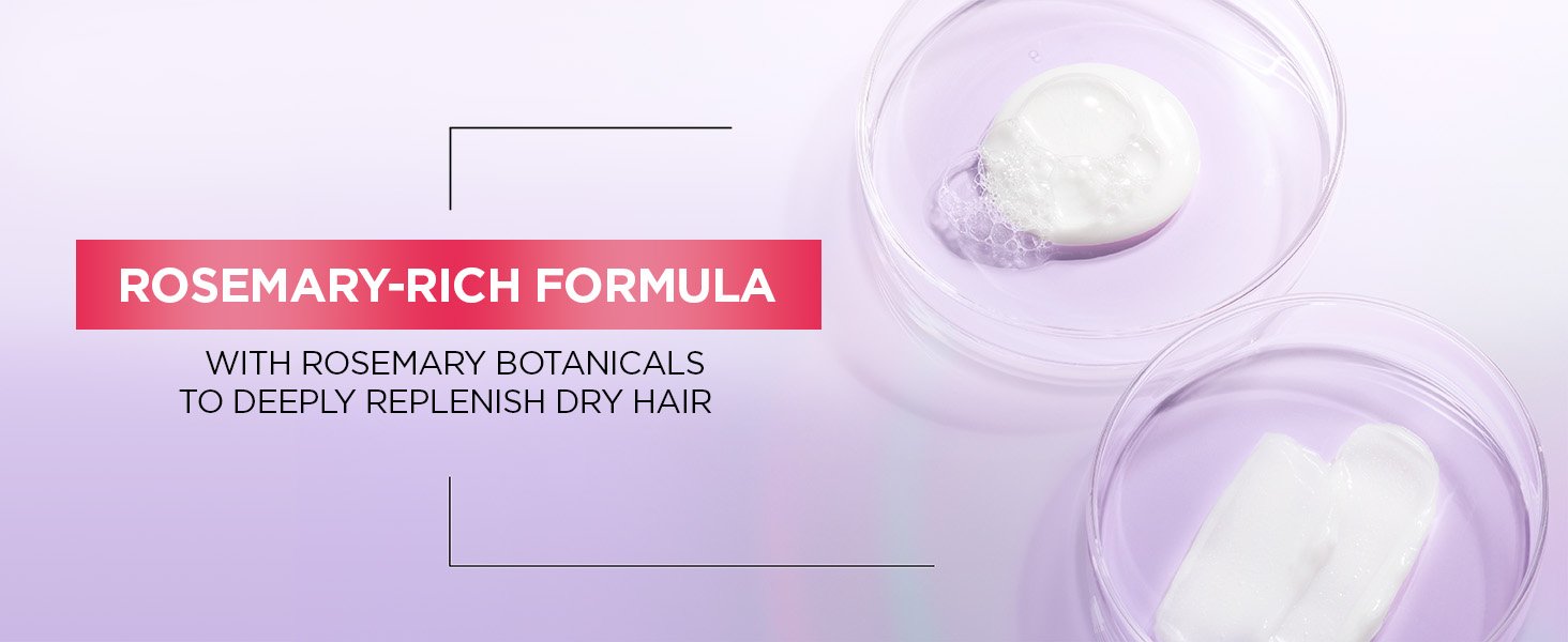 L'Oréal Paris EverPure Sulfate-Free Moisture Shampoo and Conditioner, Education Module Content Key Ingredients Benefit